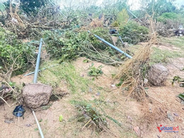 W-Hiện trường tan hoang 7.jpg