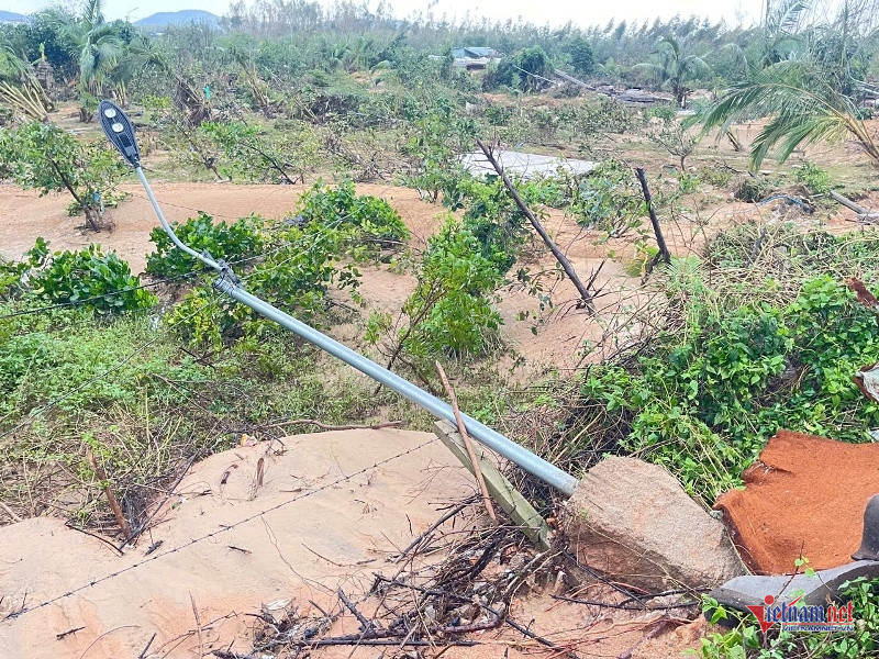 W-Hiện trường tan hoang 9.jpg