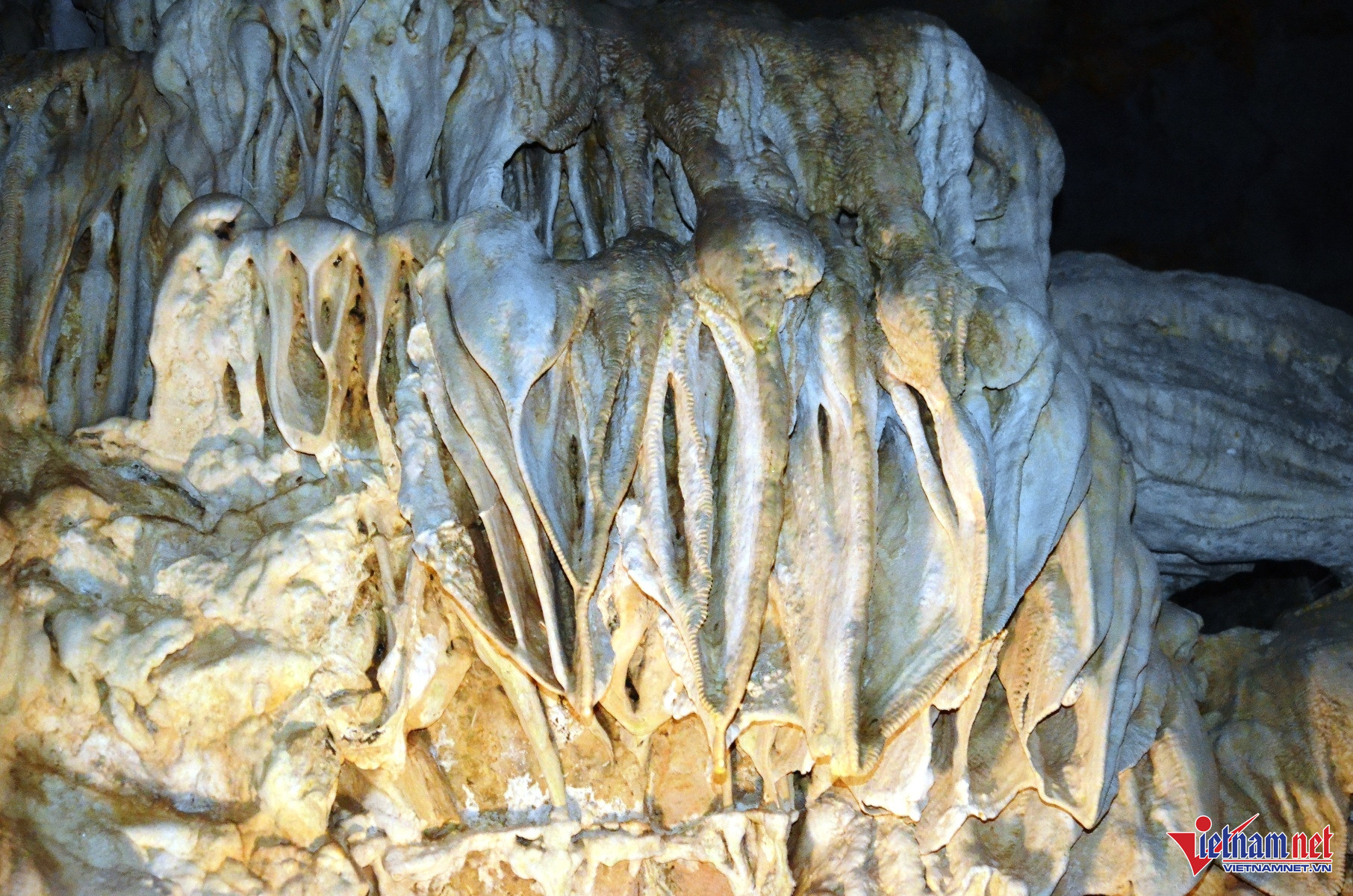 W-Vái Giời 11.JPG.jpg