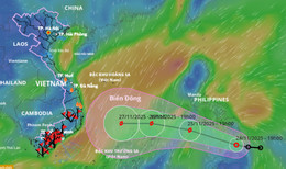 ap thap nhiet doi 1.jpg