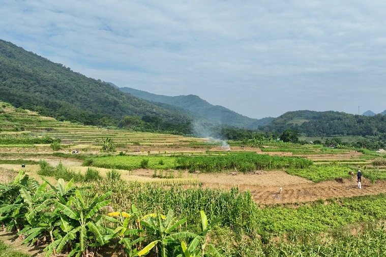 Chiềng Hặc xây dựng bản nông thôn mới kiểu mẫu, toàn diện