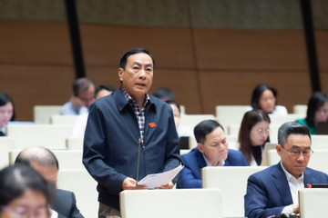 Đại biểu Quốc hội băn khoăn nếu hợp nhất những tờ báo có hàng triệu người thích