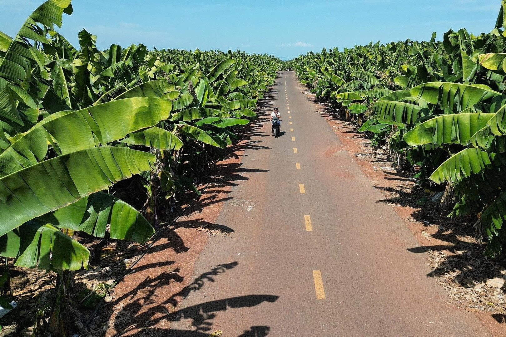 Đồng Nai hợp tác với một thành phố của Nhật Bản để cùng tăng trưởng xanh