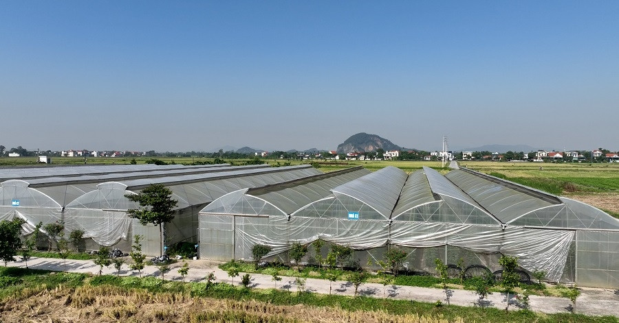 Hợp tác xã nông nghiệp - trụ cột quan trọng trong nông thôn mới của Yên Châu