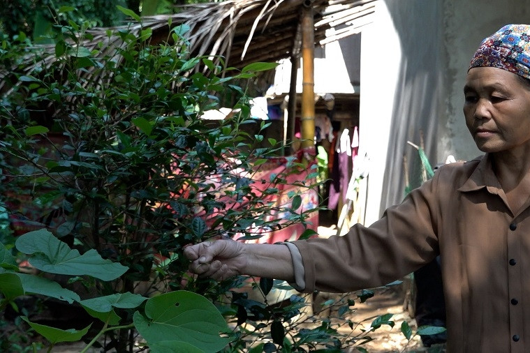 Lai Vung đẩy mạnh tuyên truyền và kiểm tra, giám sát xây dựng nông thôn mới