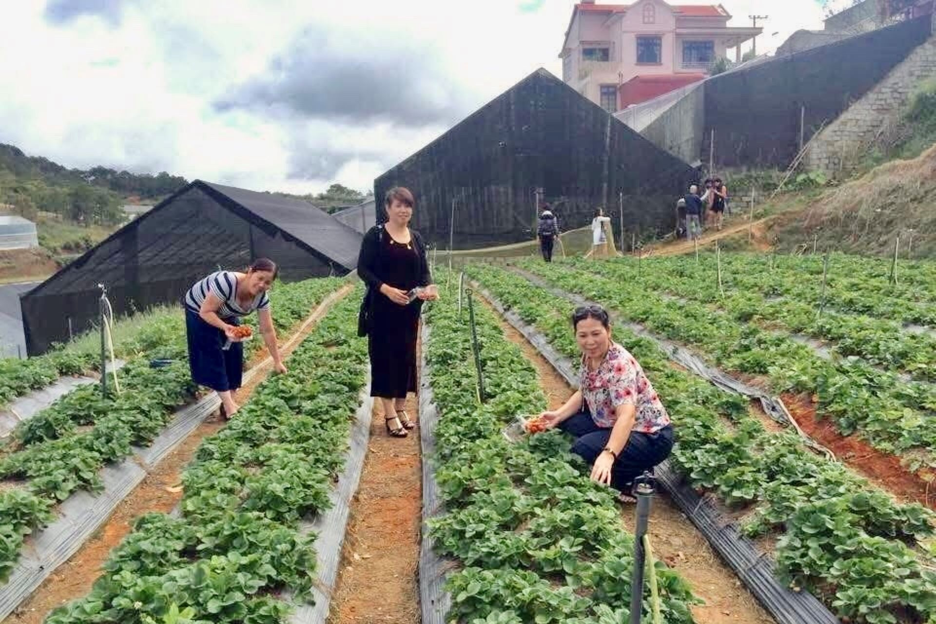 Lâm Đồng phát triển du lịch nông thôn dựa trên lợi thế nông nghiệp