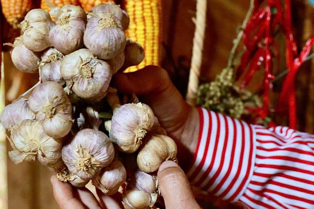 Chỉ ăn rau quả, rất ít đạm, không tinh bột nhưng không thể giảm cân Loại củ ngừa cảm cúm, phòng bệnh tim mạch,