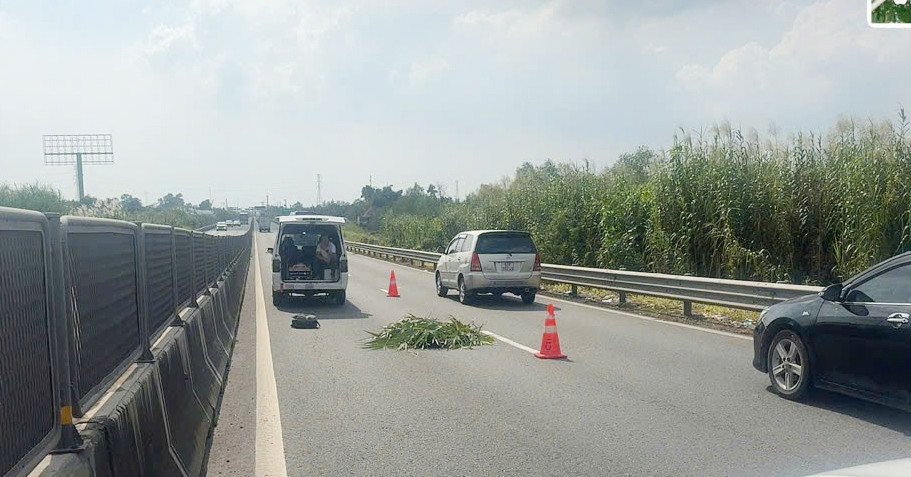 Phát hiện thi thể nam giới nghi là người nước ngoài trên cao tốc