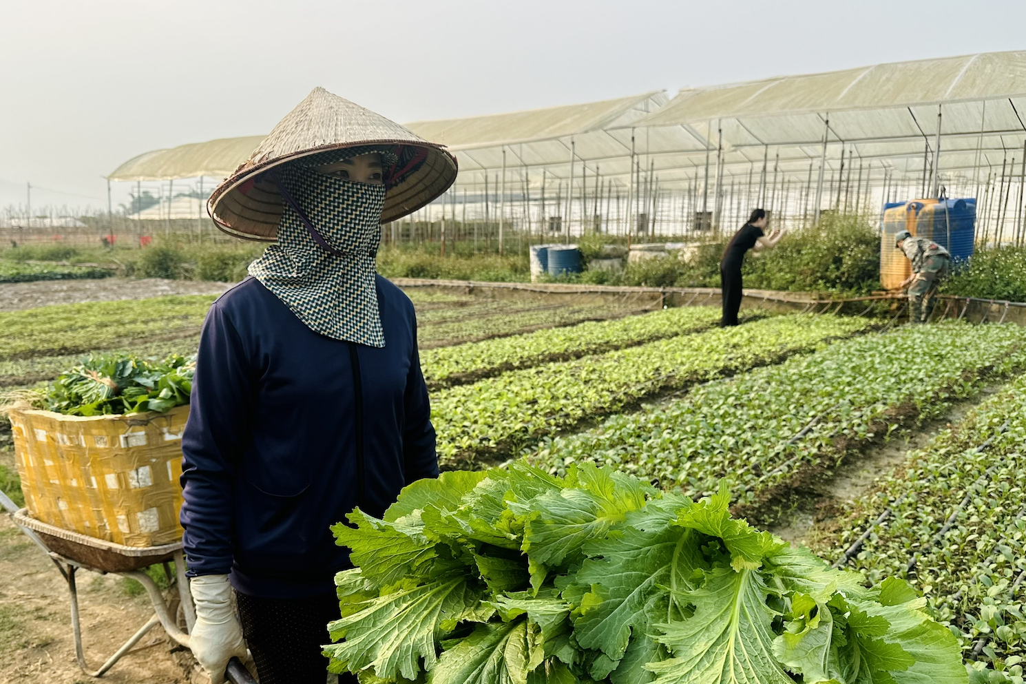 Phụ nữ Điện Biên lan tỏa hành động đẹp trong xây dựng nông thôn mới