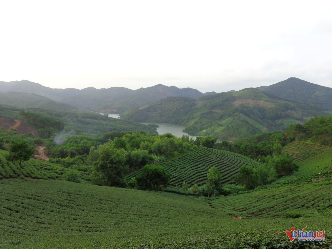 W-anh bai 69.JPG.jpg