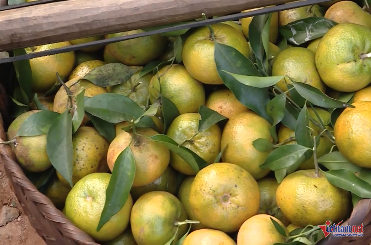 Box https://static-images.vnncdn.net/vps_images_publish/000001/000003/2025/11/24/w-anh-so-3-1257.png