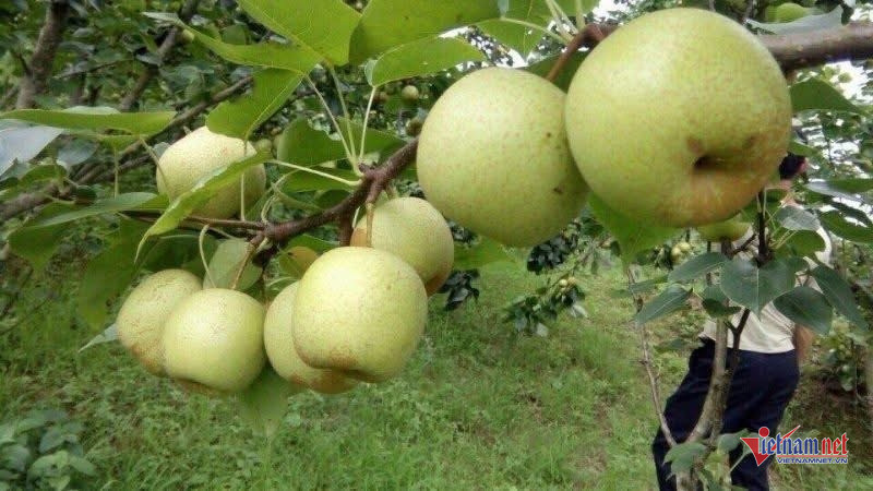 Box https://static-images.vnncdn.net/vps_images_publish/000001/000003/2025/11/24/w-anh-so-3jpg-1362.jpg