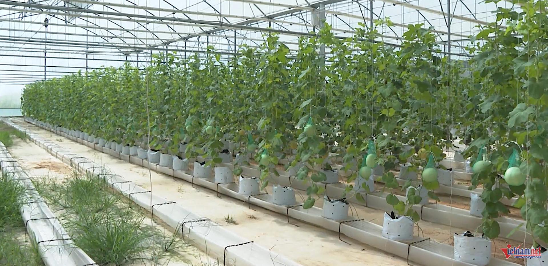 Box https://static-images.vnncdn.net/vps_images_publish/000001/000003/2025/11/24/w-anh-so-4-1245.png