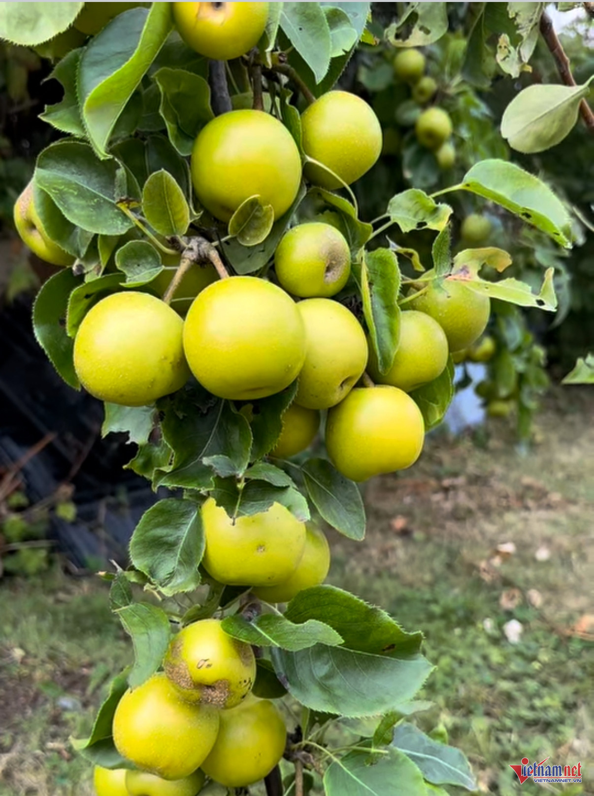 Box https://static-images.vnncdn.net/vps_images_publish/000001/000003/2025/11/24/w-anh-so-6-1372.jpeg