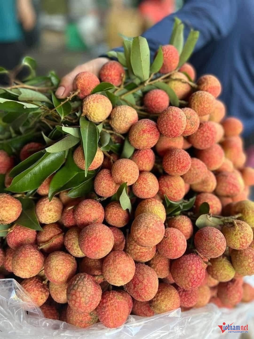 Box https://static-images.vnncdn.net/vps_images_publish/000001/000003/2025/11/24/w-anh-so-7jpg-1370.jpg