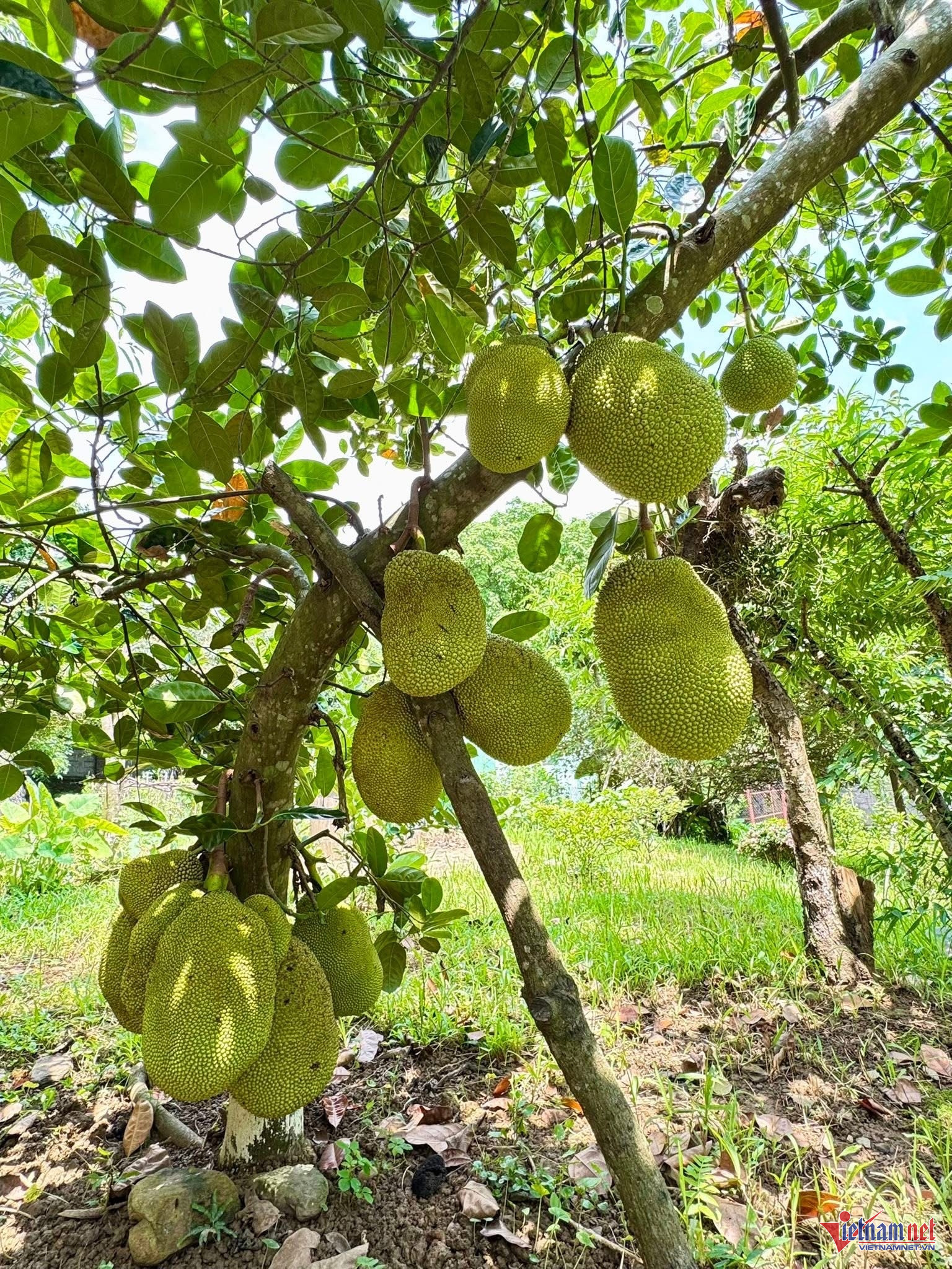 Box https://static-images.vnncdn.net/vps_images_publish/000001/000003/2025/11/24/w-anh-so-8jpg-1369.jpg