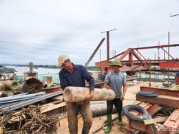 W-cầu kênh vàng_5.JPG.jpg