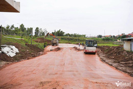 W-cầu kênh vàng_6.JPG.jpg