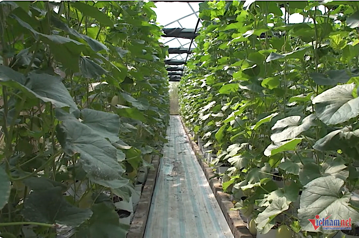 W-mo hinh kinh te.png