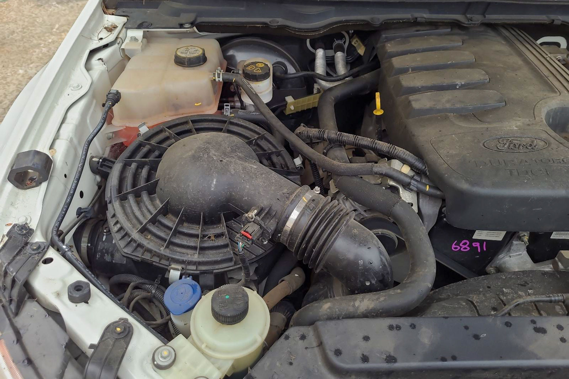 4c0fac09 33bd 402f 936d 9f45c8190f42.jpg