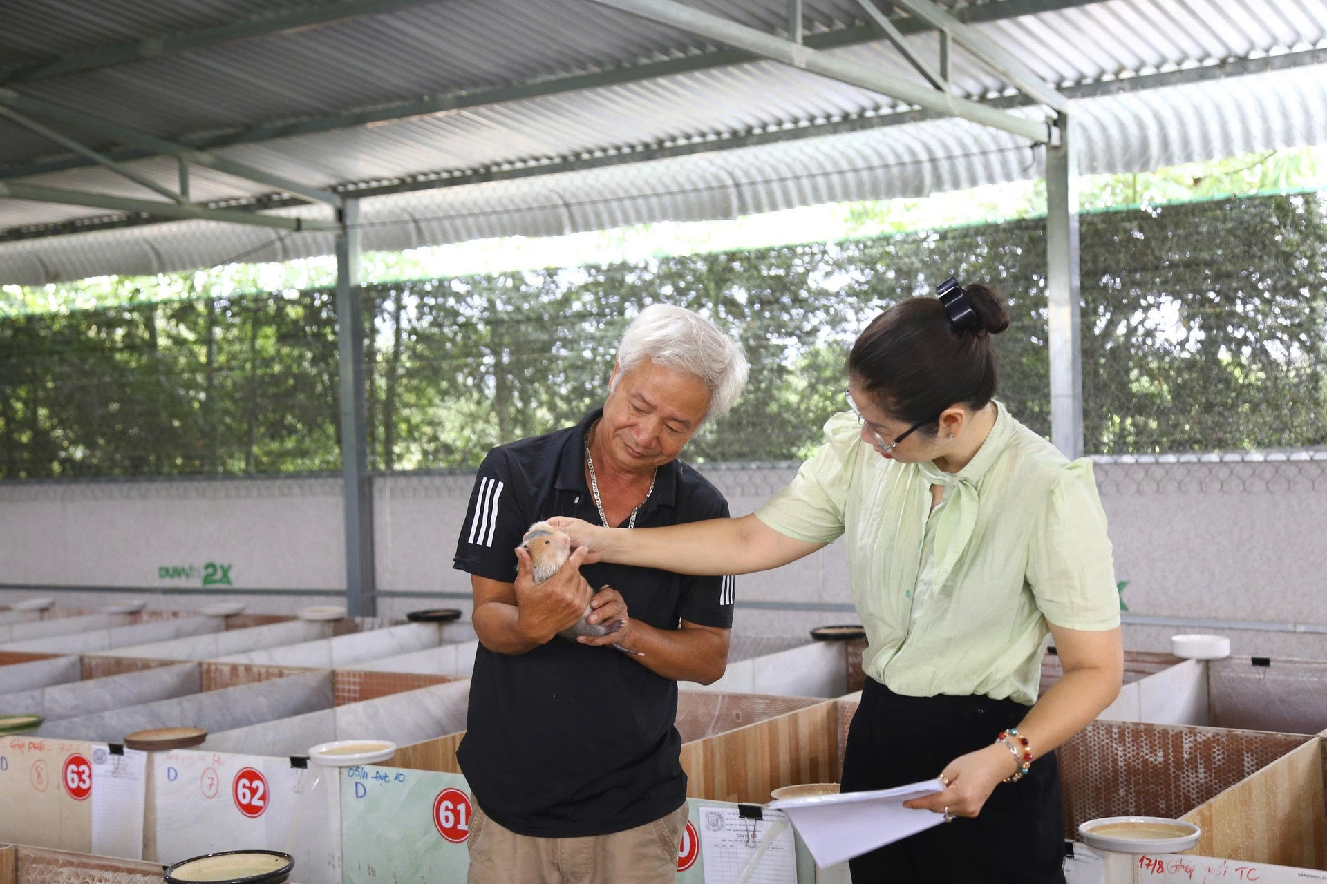 Đồng Nai: Ứng dụng công nghệ nuôi dúi theo chuẩn 4.0, khách hàng yên tâm quét QR