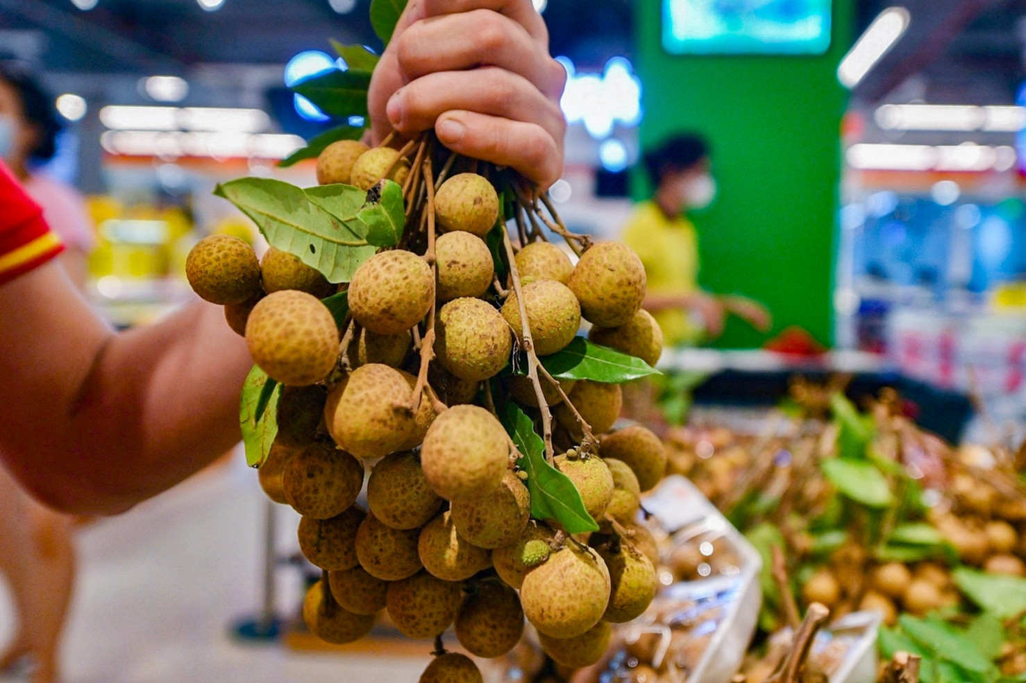 Hộ kinh doanh bán nông sản mua của nông dân có chịu thuế giá trị gia tăng?