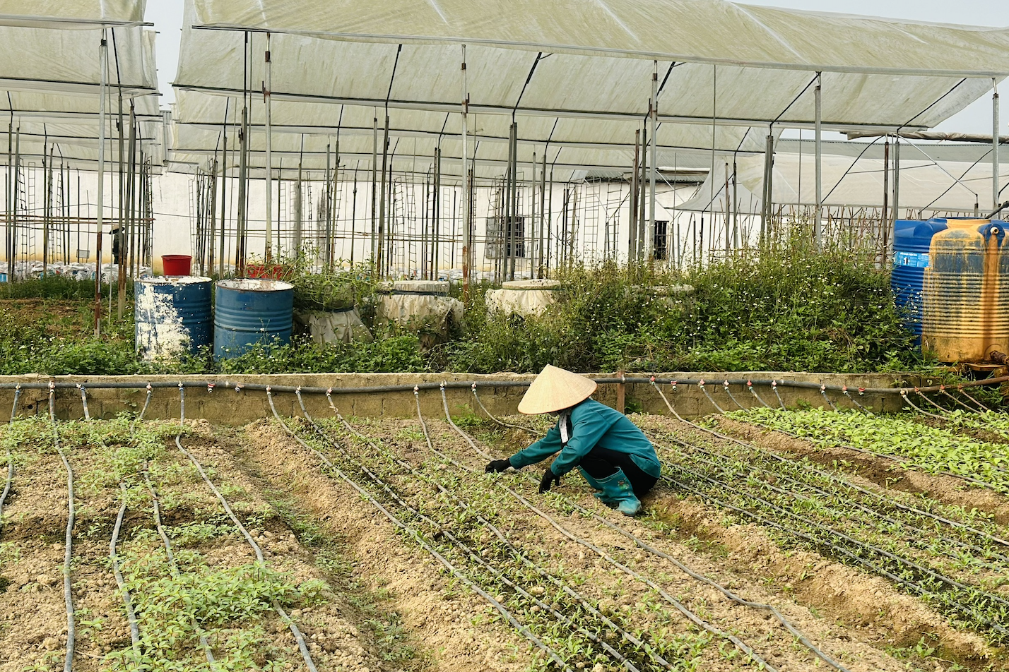 Nỗ lực vượt thách thức, vùng cao Điện Biên hoàn thiện tiêu chí nông thôn mới