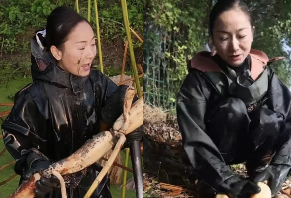 Nữ doanh nhân vỡ nợ hơn 18 tỷ đồng, lặn lội đào củ sen làm lại từ đầu