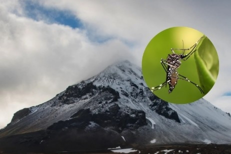 Quốc gia duy nhất nào trên thế giới từng không có muỗi?