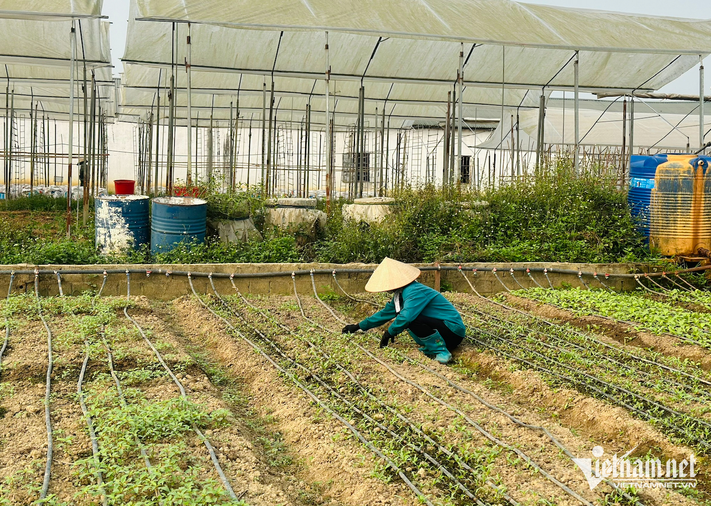 W-Điện Biên1.png