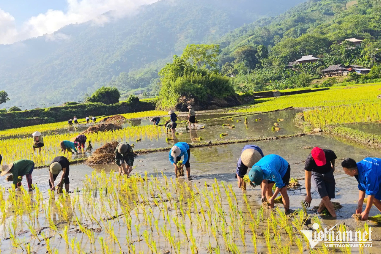 W-Phụ nữ Quảng Lâm.png