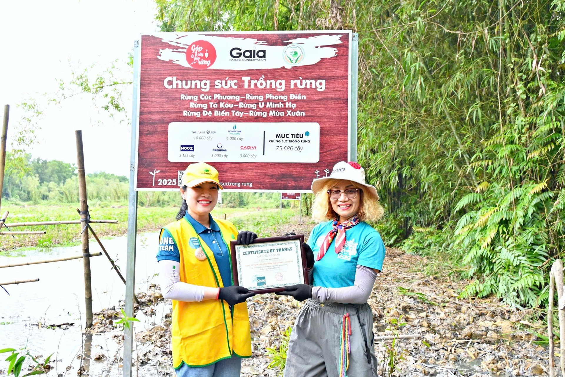 Cathay Life Việt Nam khởi động chương trình Gieo mầm cây từ những bước chân 2025