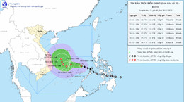 bao so 15 trua 26 11.jpg