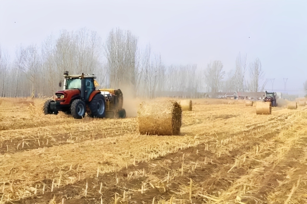 Cách Trung Quốc kiếm tiền từ rơm rạ: Nông dân chở rác đổi tiền mặt mỗi ngày