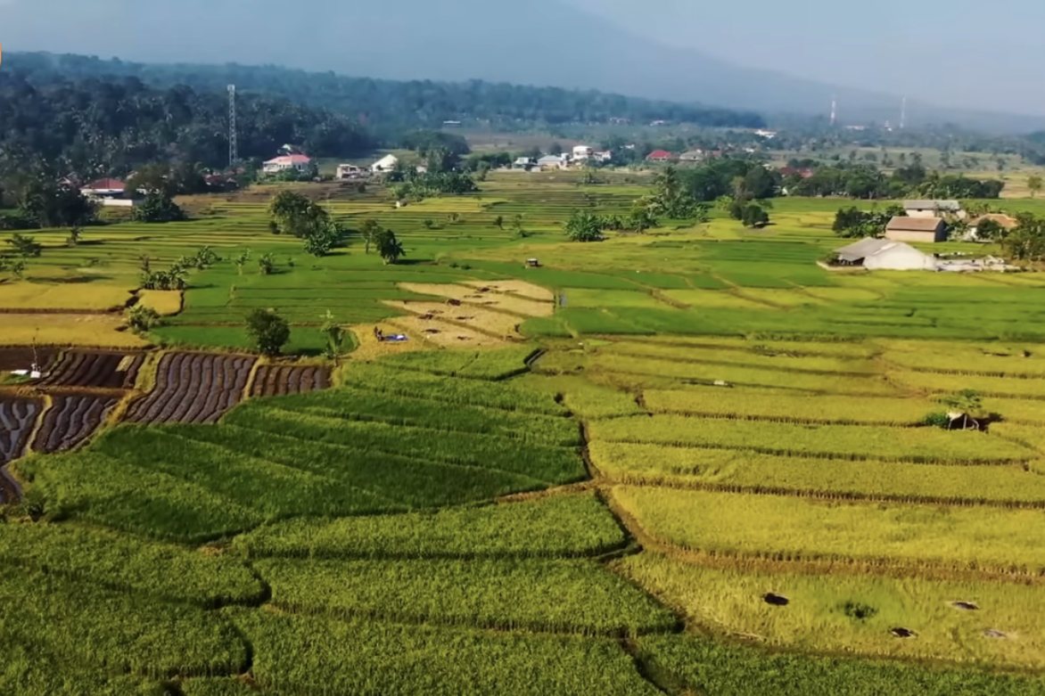 Cơ quan đại diện Việt Nam tại Angola tích cực góp sức nâng tầm thương hiệu quốc gia tại châu Phi