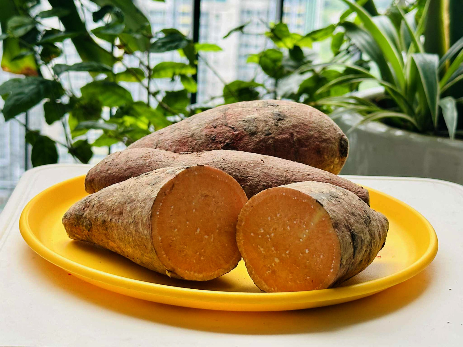 khoai lang nuong.jpg