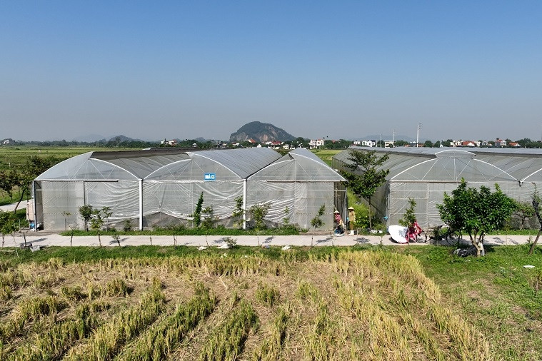 Tuyên Quang: Nông nghiệp thông minh tạo nền tảng nông thôn mới bền vững