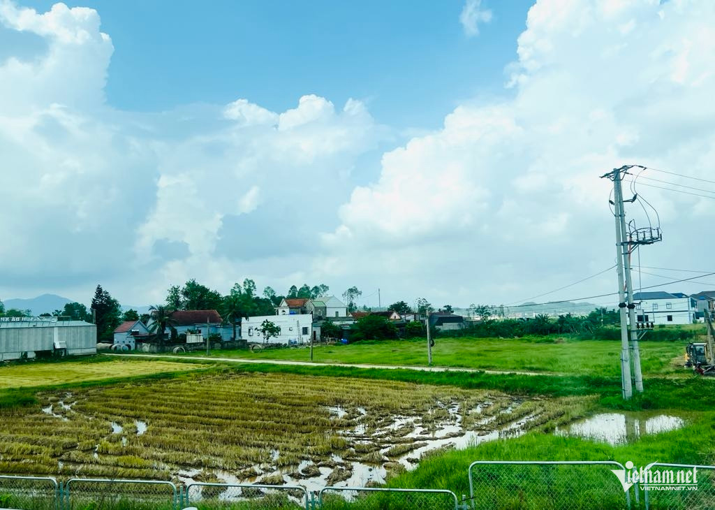 W-Ho tro thue phi tin dung sau bao.jpg