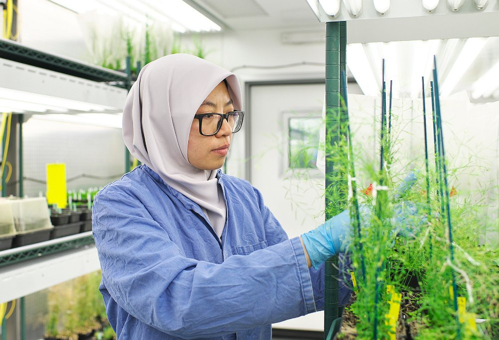 Chia sẻ giải pháp an ninh lương thực tại Tuần lễ Khoa học Công nghệ VinFuture