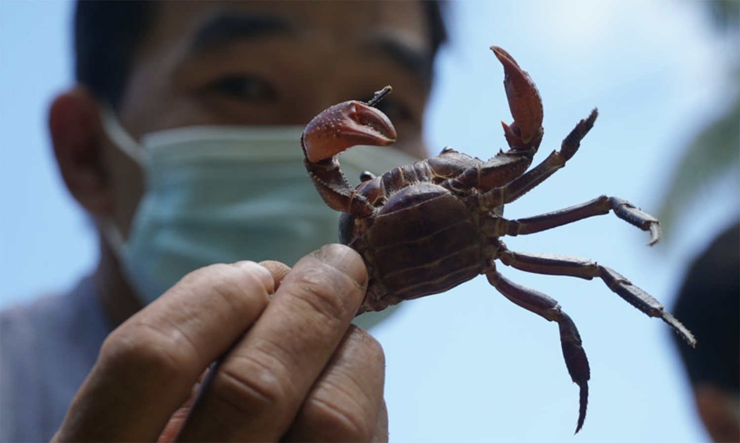 cua núi cấm 1.jpg