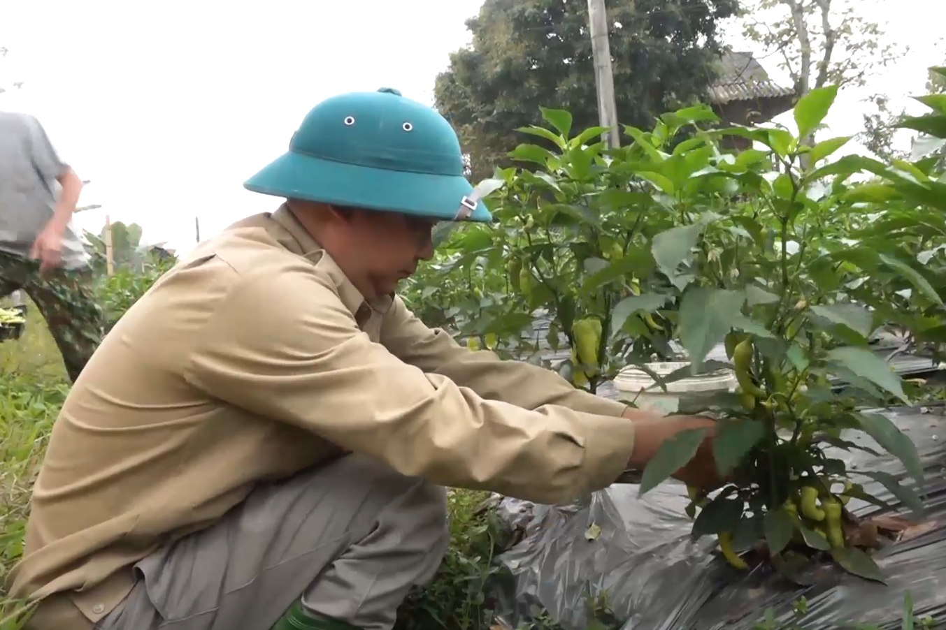 Tạo đột phá cho sản phẩm OCOP, phát triển du lịch nông thôn trong xây dựng NTM