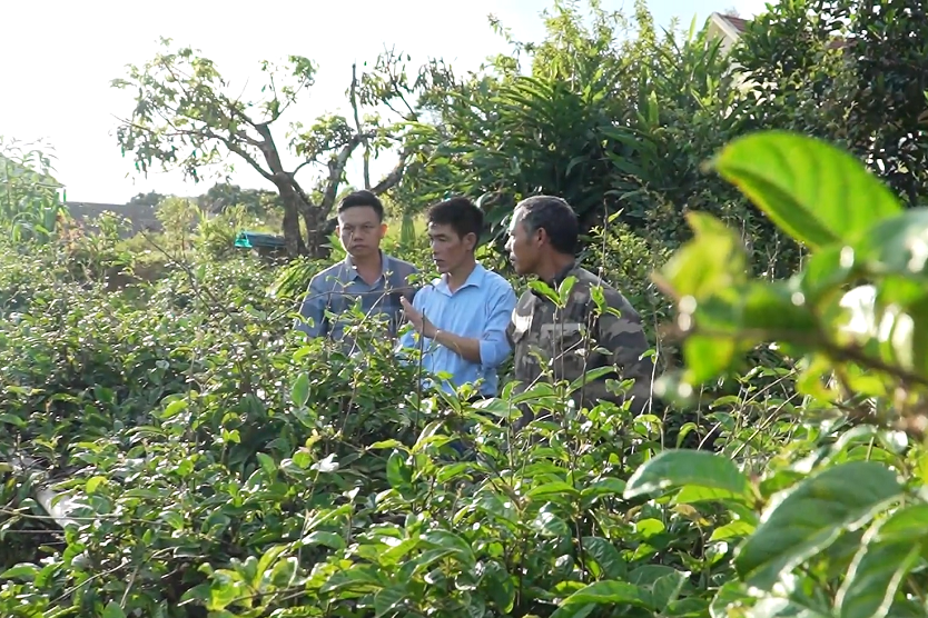 Tây Yên Tử vươn mình hướng tới đô thị xanh phát triển toàn diện bền vững