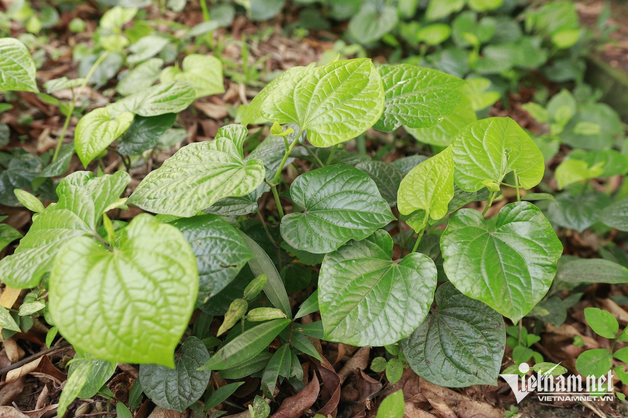 W-4cb2d51d b235 42be a54f 828ebc3560bf (1).jpeg