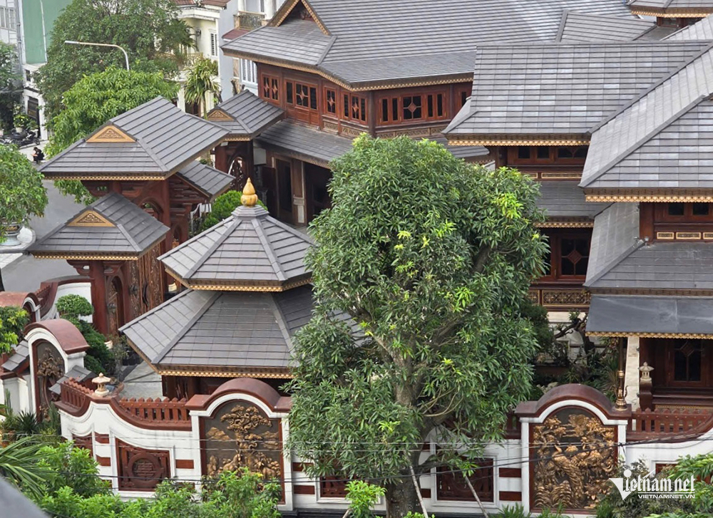 W-Biet thu Mailisa 005.png