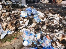 W-Cháy tiên sơn_4.JPG.jpg