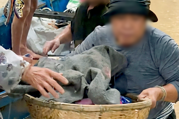 Bản tin trưa 29/11: Làm rõ vụ từ chối sản phụ và bé 25 ngày tuổi vào tránh lũ