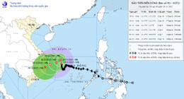 bao so 15 koto sang 29 11.jpg