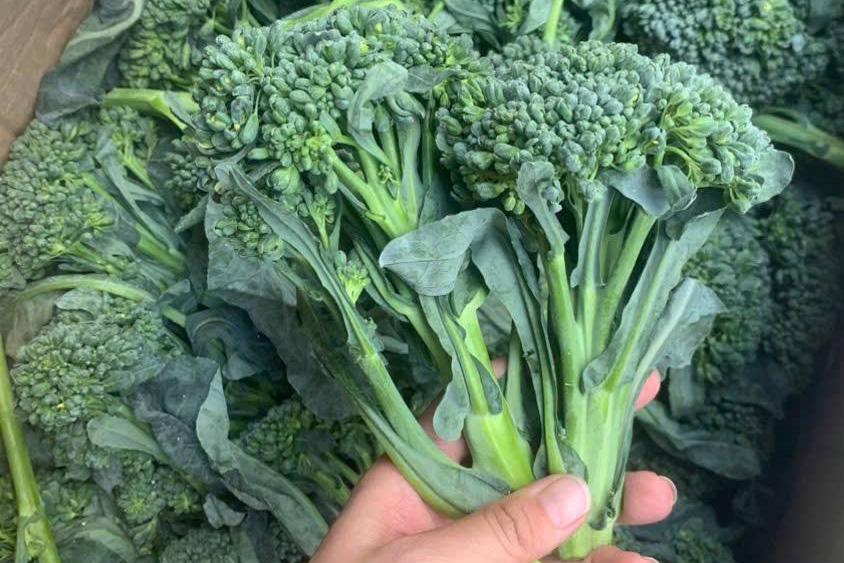 Top 5 loại rau cải phòng chống ung thư, tim mạch