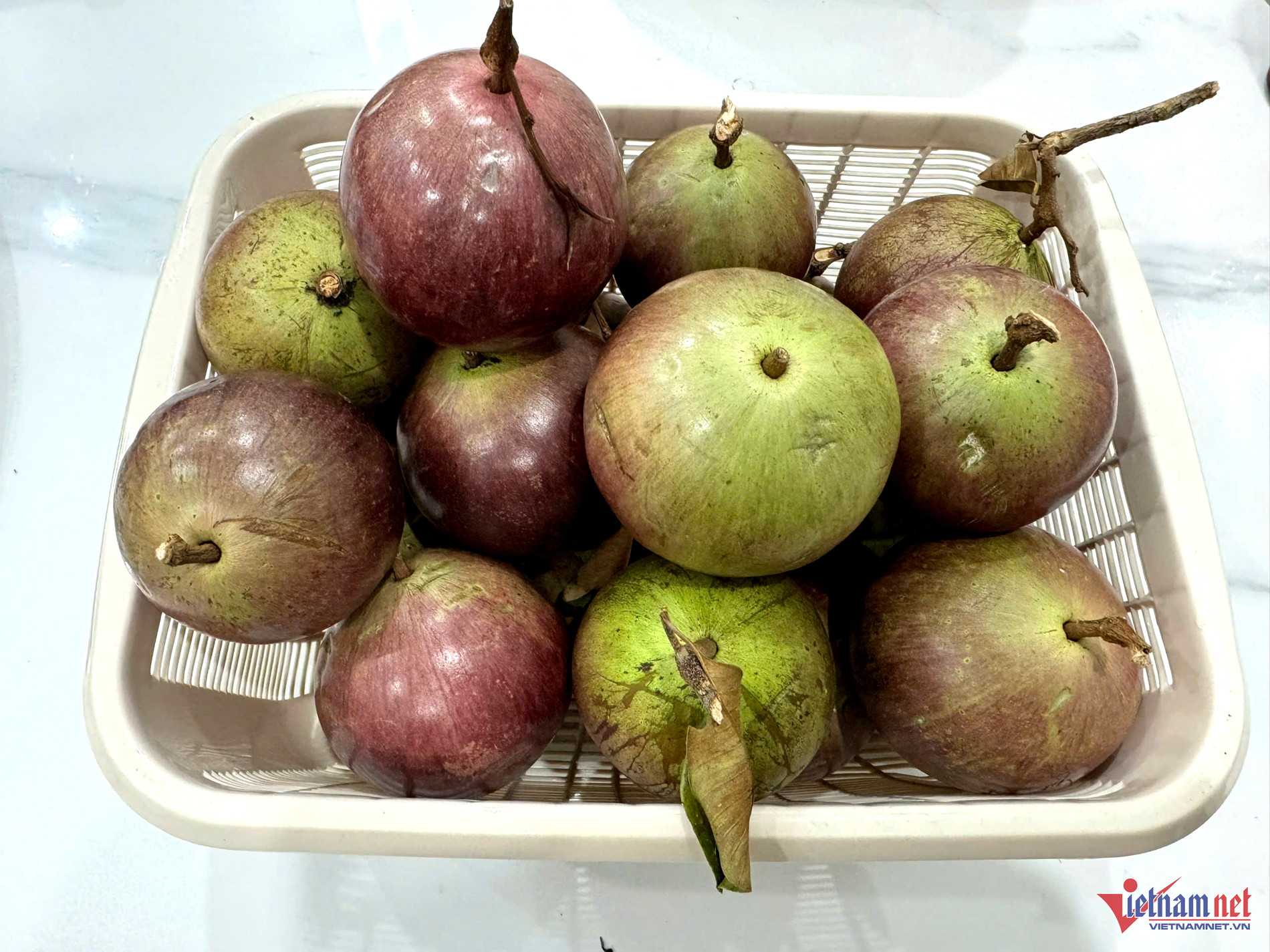 W-vú sữa lò rèn 0.jpg