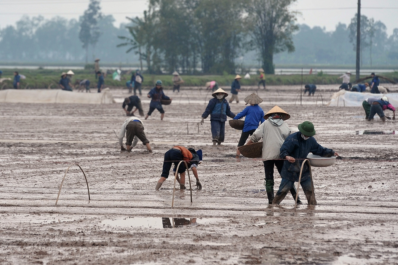 Báo chí kịp thời lắng nghe khát vọng của người nông dân trên đồng tôm, ruộng lúa